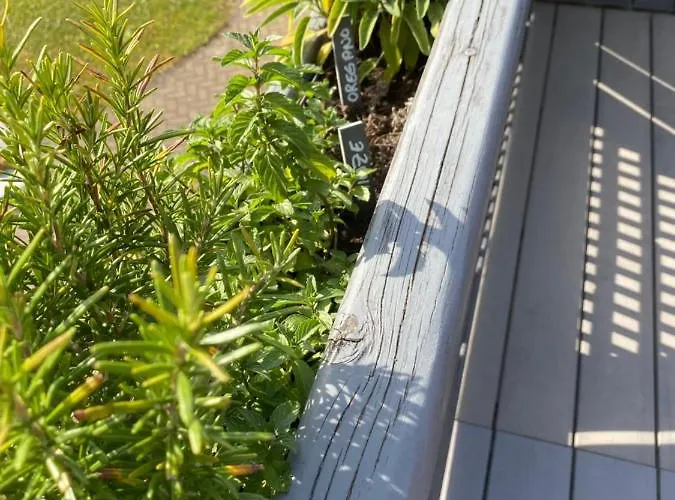 Ferienwohnung „an Der Eller“ Apartment Bockelnhagen